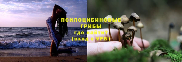 ECSTASY Покров