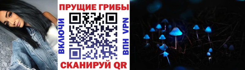 Псилоцибиновые грибы прущие грибы  Грайворон 